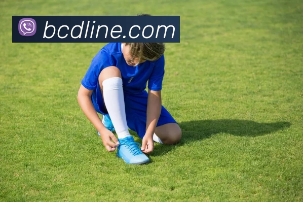 bc贷官网平台生态图