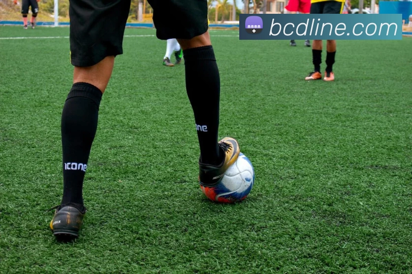 bc贷官网全站App